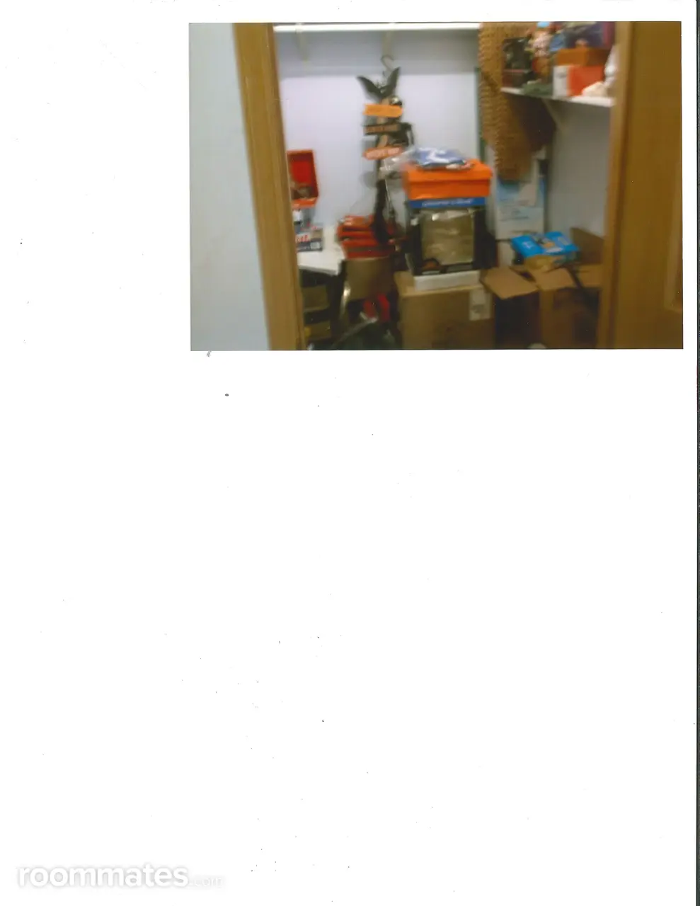 Profile photo 2 of 11