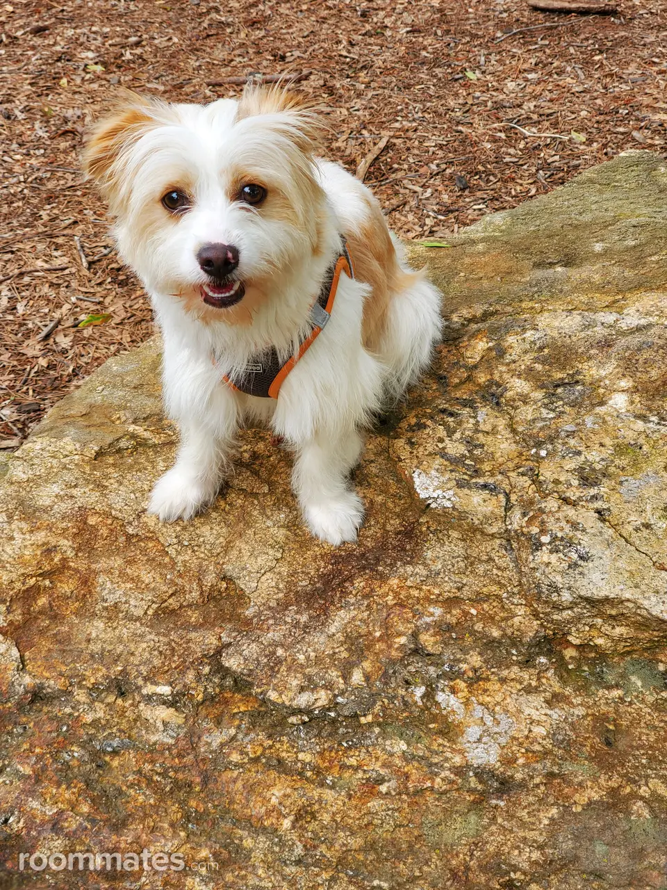 Profile photo 2 of 2