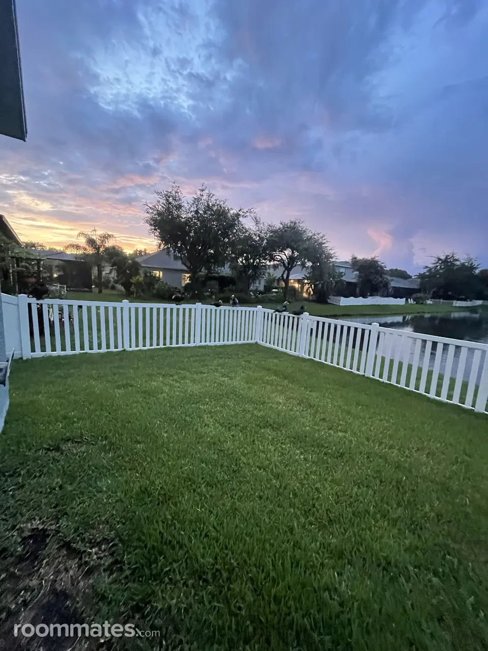 Profile photo 2 of 10