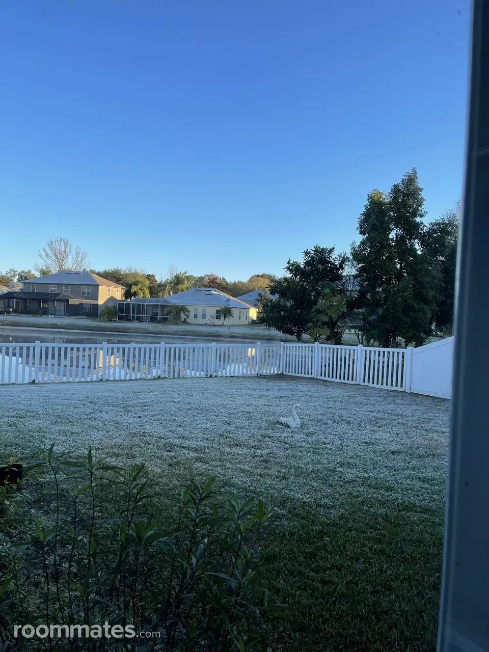 Profile photo 9 of 10