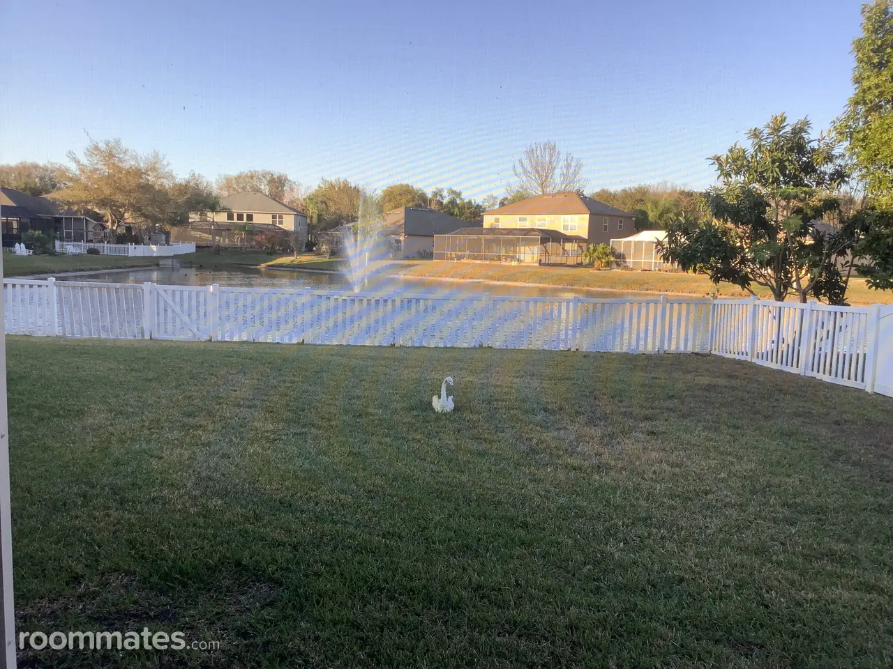 Profile photo 6 of 10