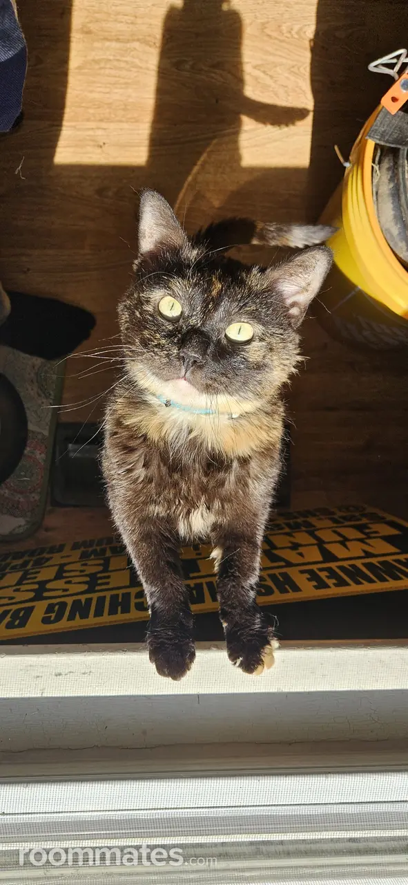 Profile photo 6 of 11