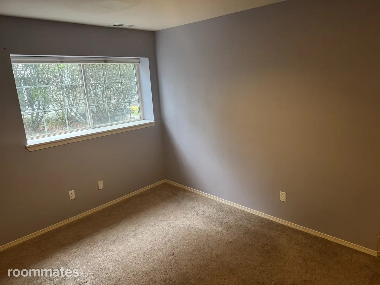 Profile photo 6 of 13