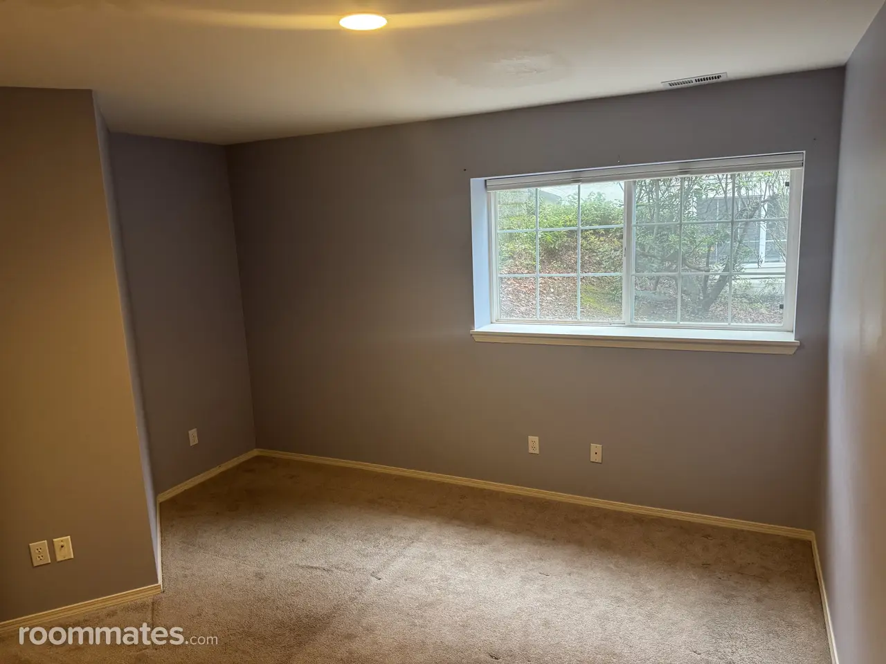 Profile photo 5 of 13