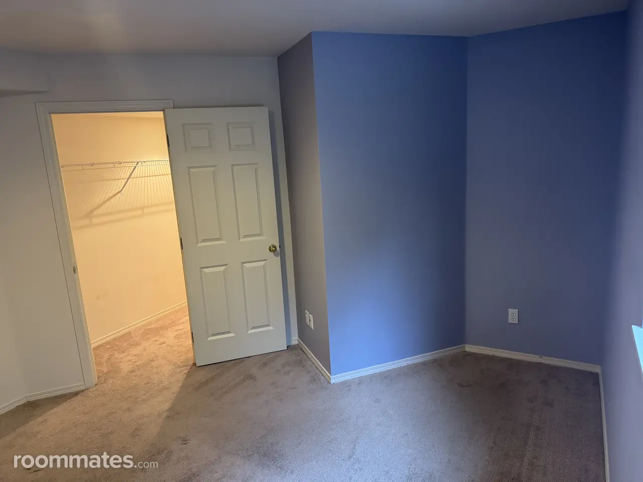 Profile photo 2 of 13