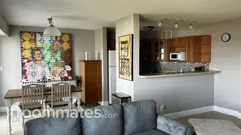 Room for rent in St. Petersburg, FL $1050, condo