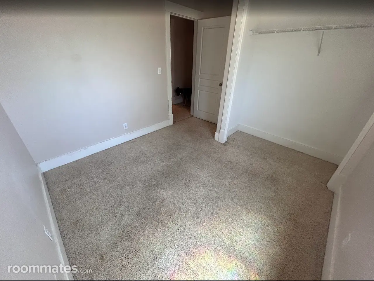 Profile photo 4 of 13