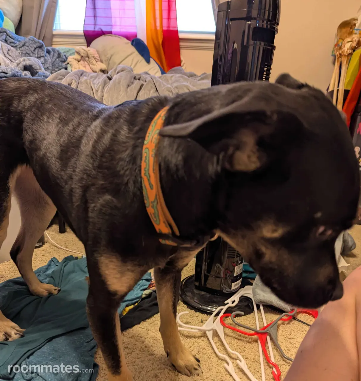 Profile photo 12 of 13