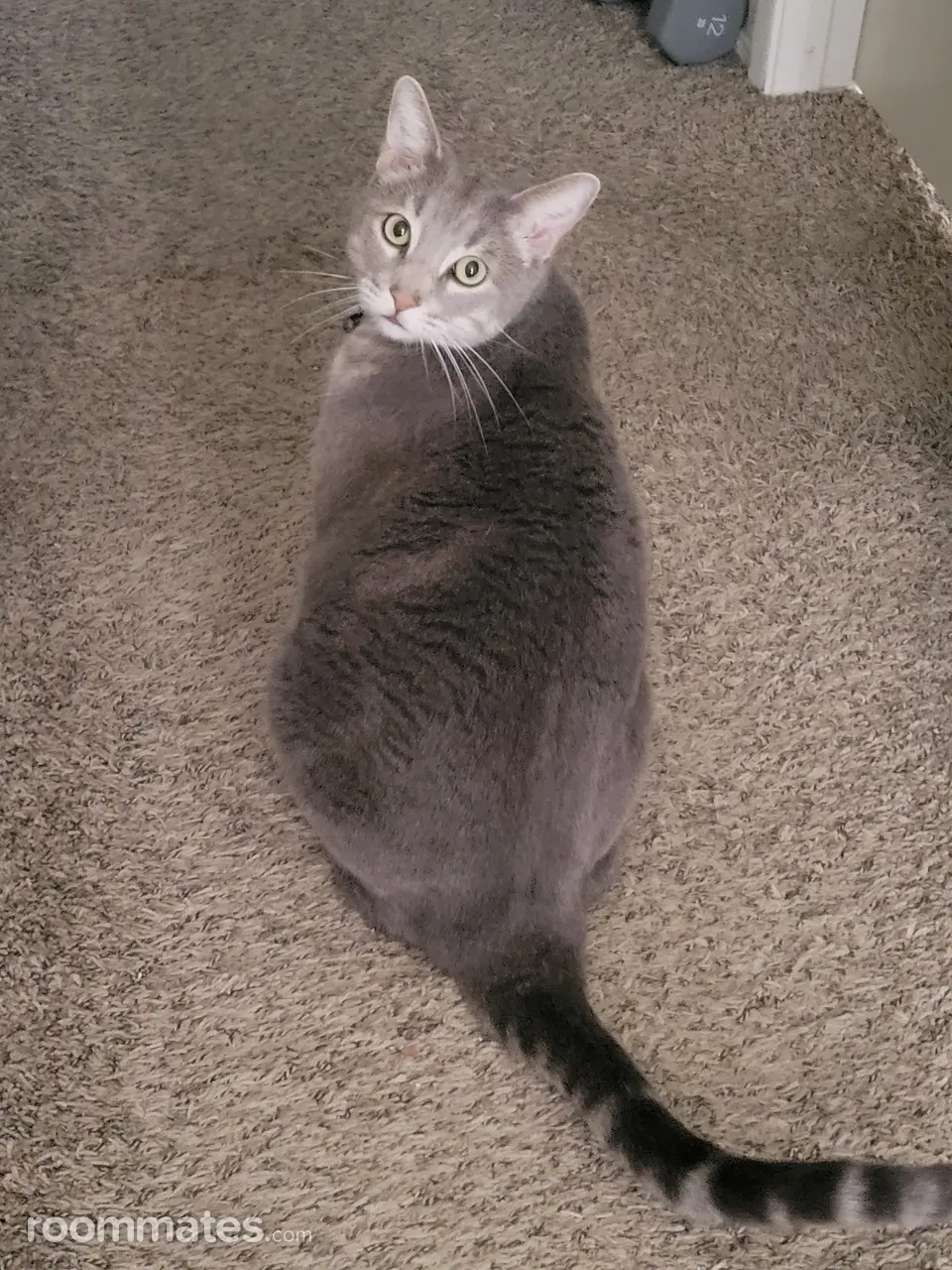 Profile photo 7 of 7