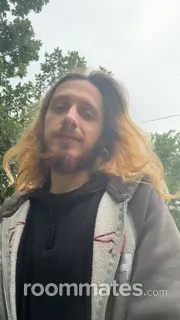 Roommate looking Sealy, TX, $500