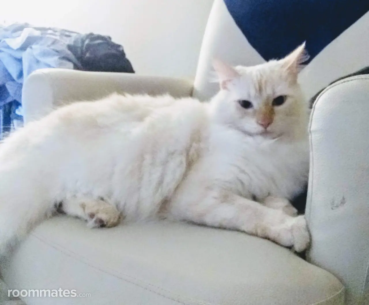 Profile photo 2 of 2