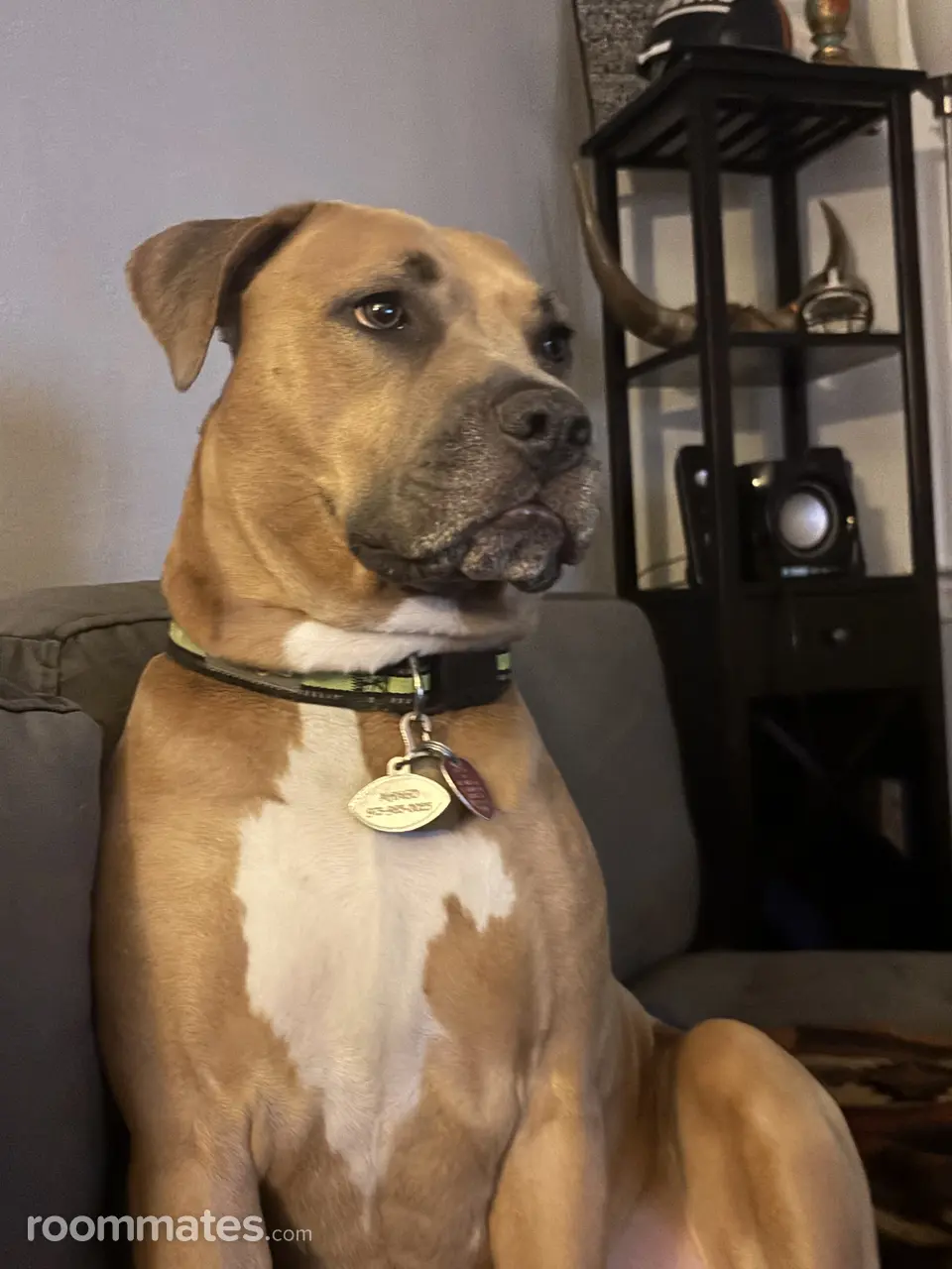 Profile photo 2 of 2