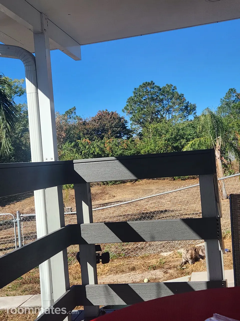 Profile photo 1 of 7