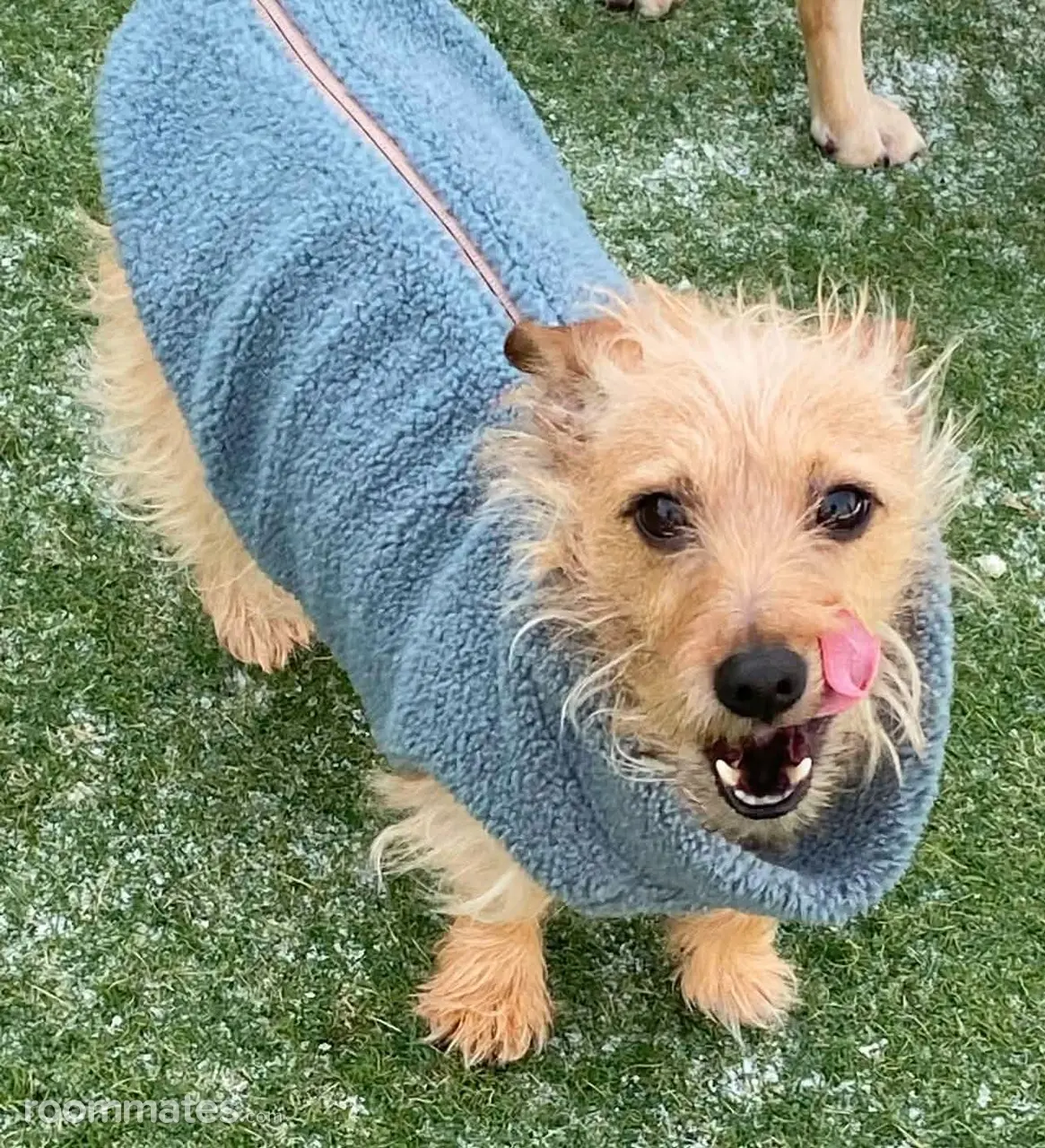 Profile photo 2 of 2