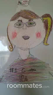 Roommate looking Sebring, FL, $800