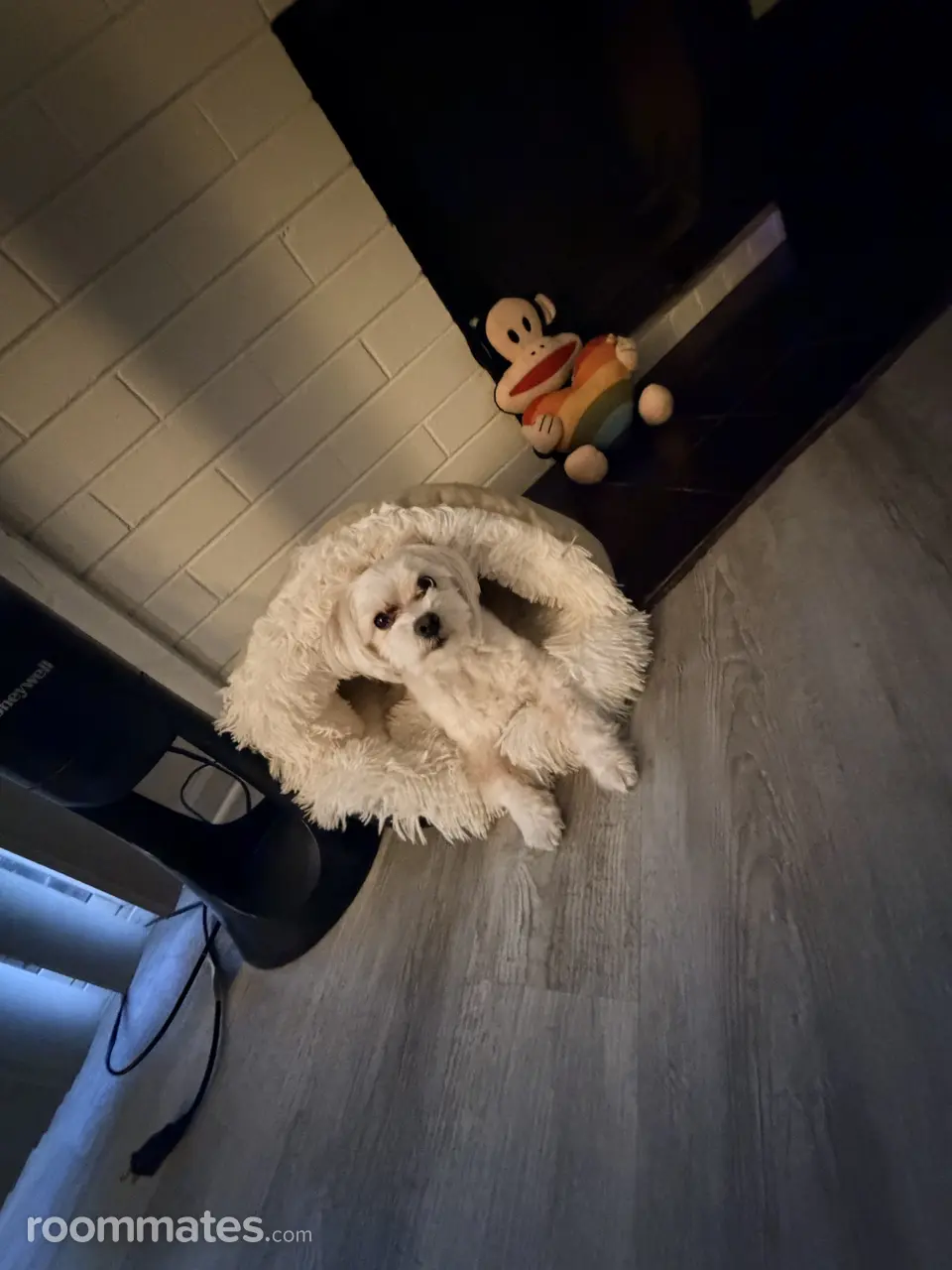 Profile photo 4 of 4