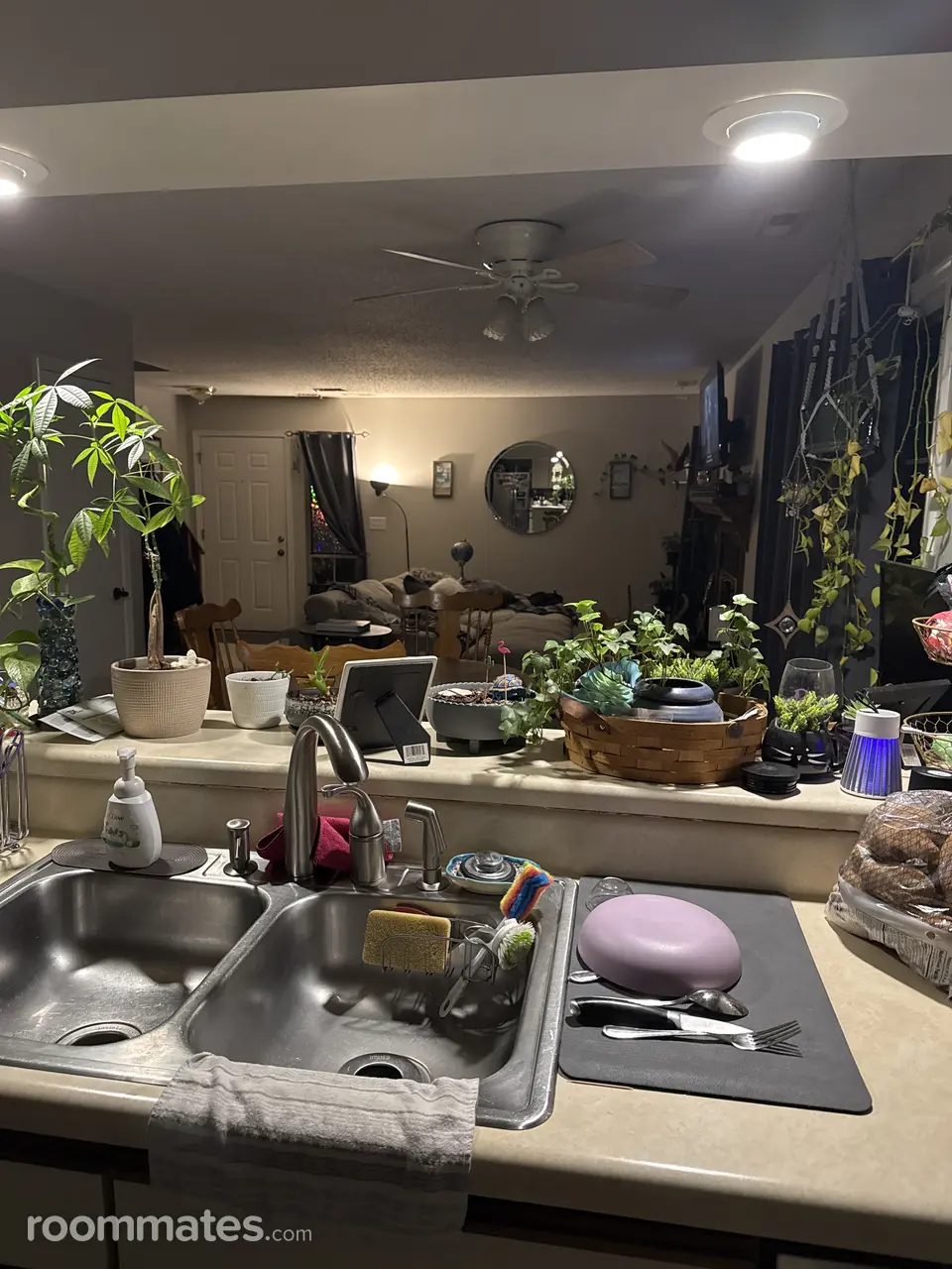 Profile photo 6 of 10