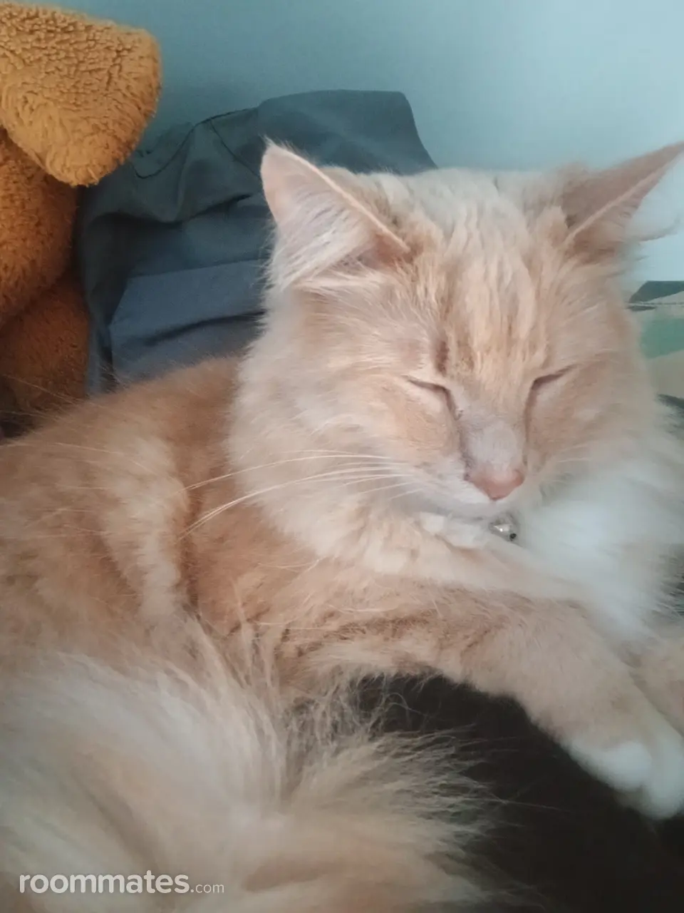 Profile photo 1 of 4