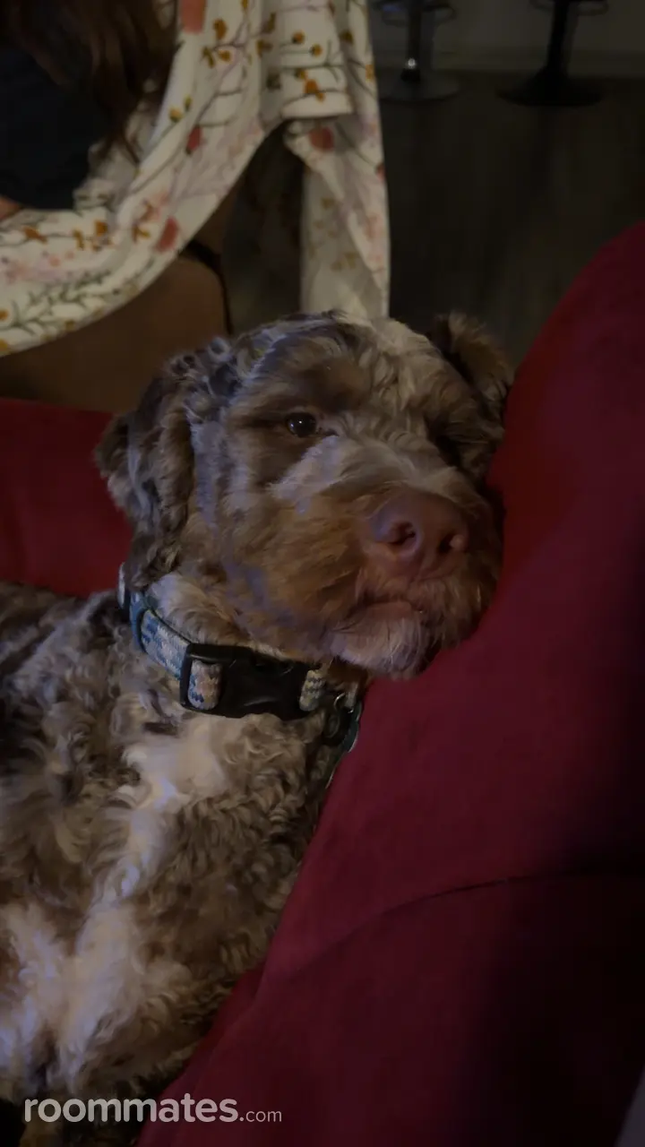 Profile photo 8 of 9