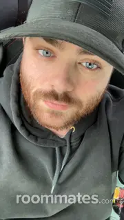 Roommate looking Knoxville, TN, $800