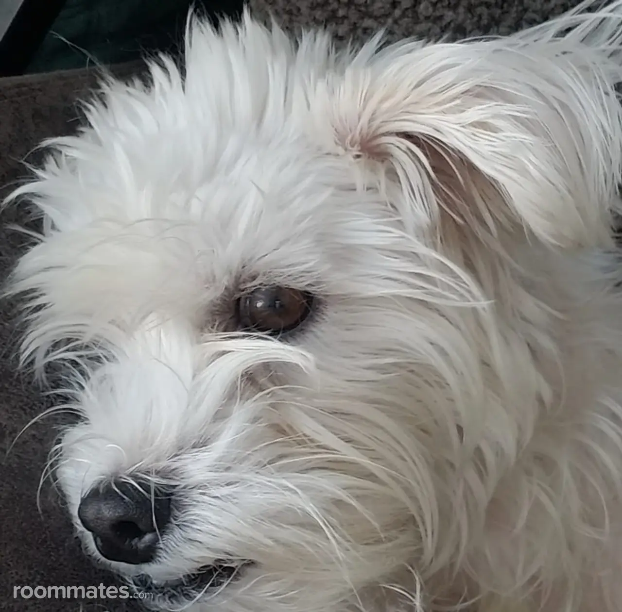 Profile photo 2 of 3