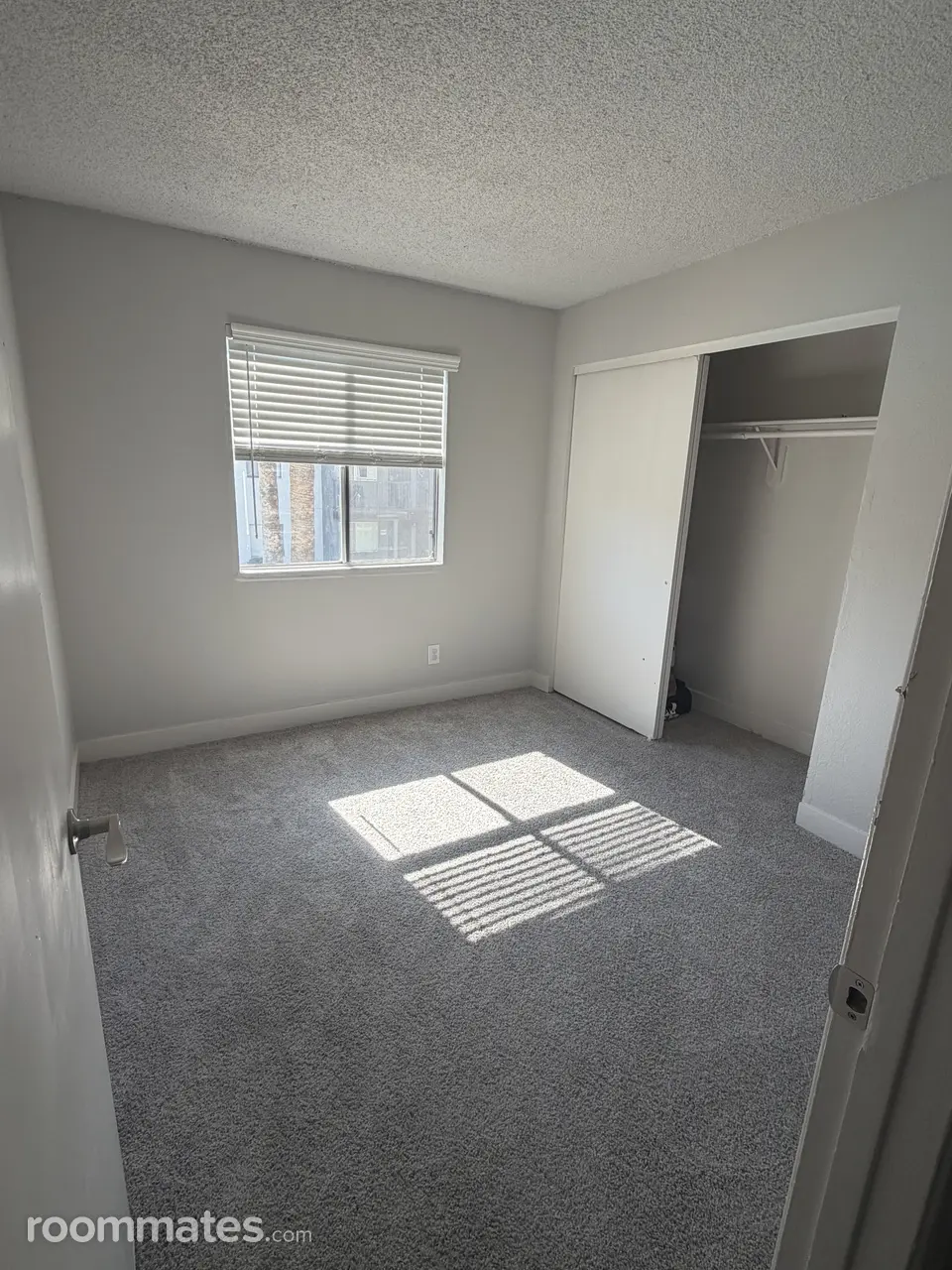 Profile photo 5 of 6