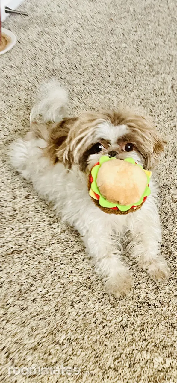 Profile photo 6 of 11