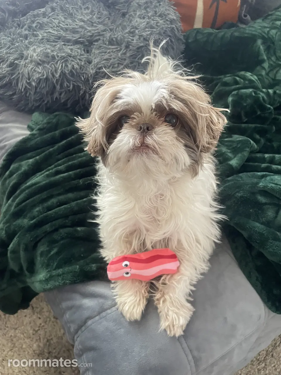 Profile photo 11 of 11