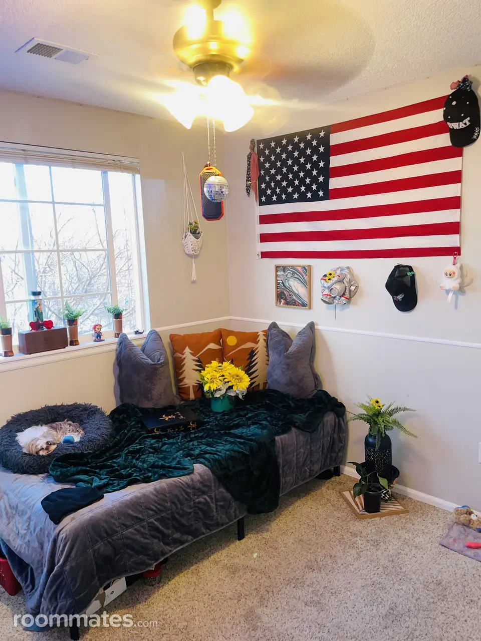 Profile photo 8 of 11