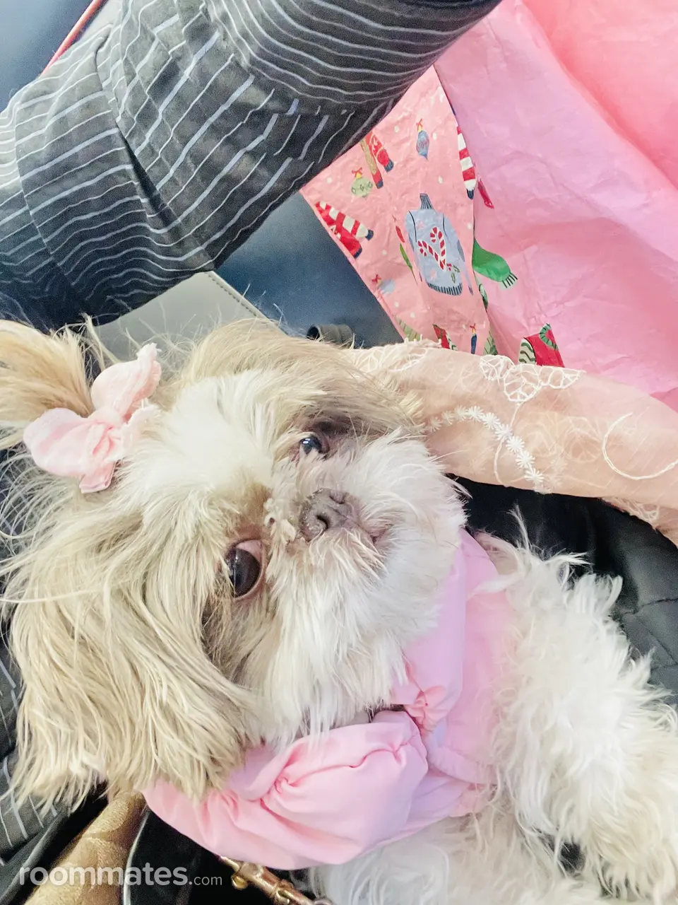 Profile photo 4 of 11