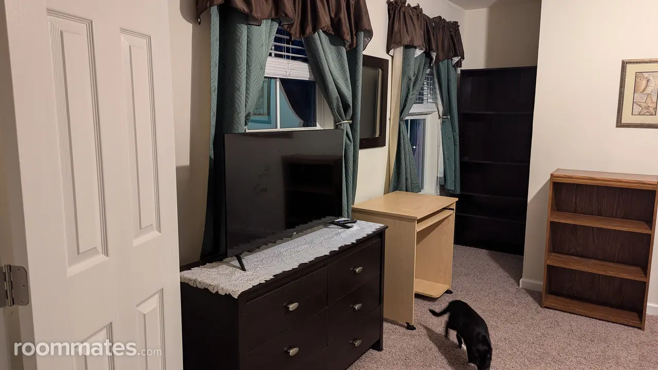 Profile photo 3 of 11