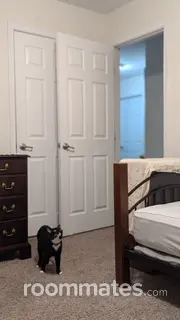 Room for rent in Charlottesville, VA $850, house