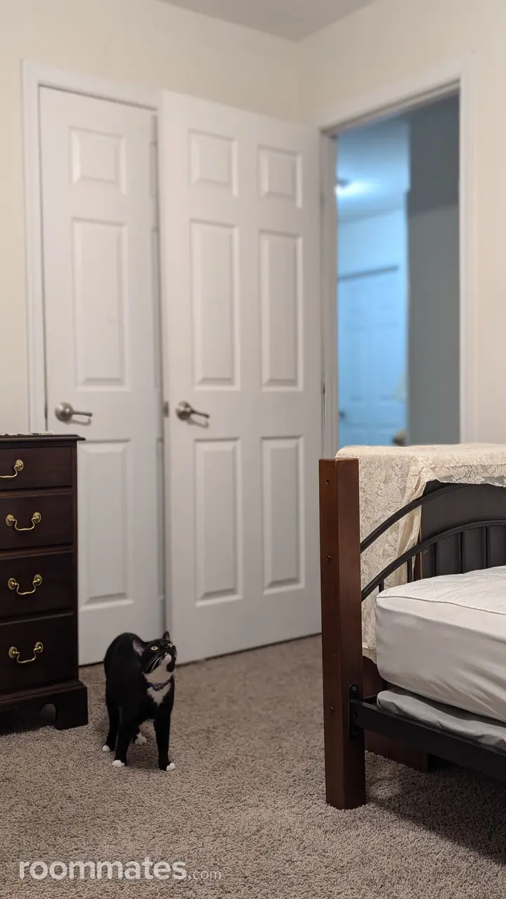 Profile photo 7 of 11