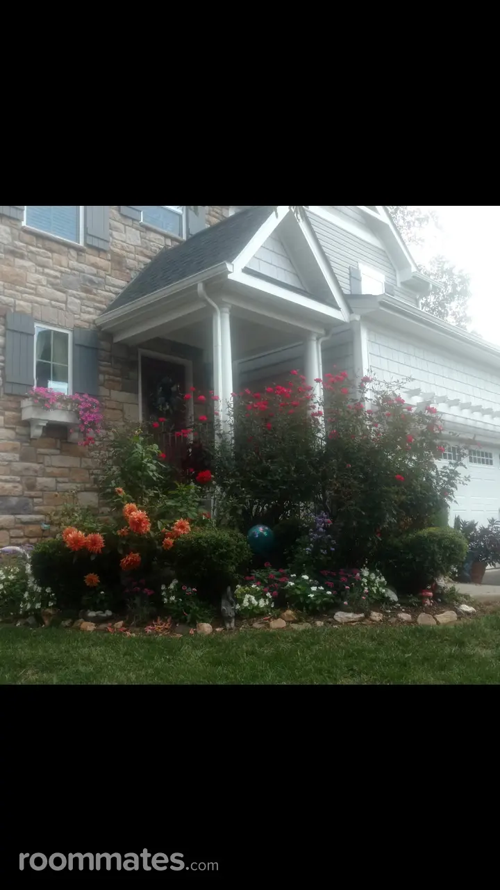 Profile photo 4 of 11