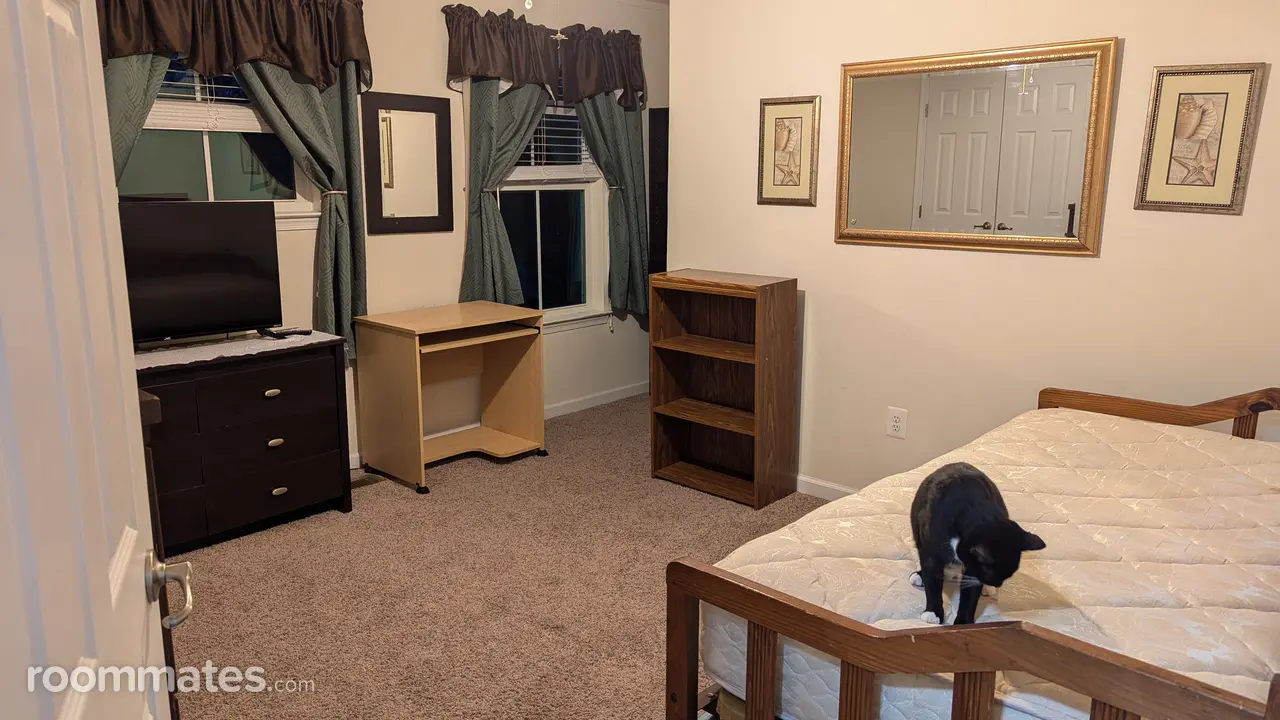 Profile photo 1 of 11