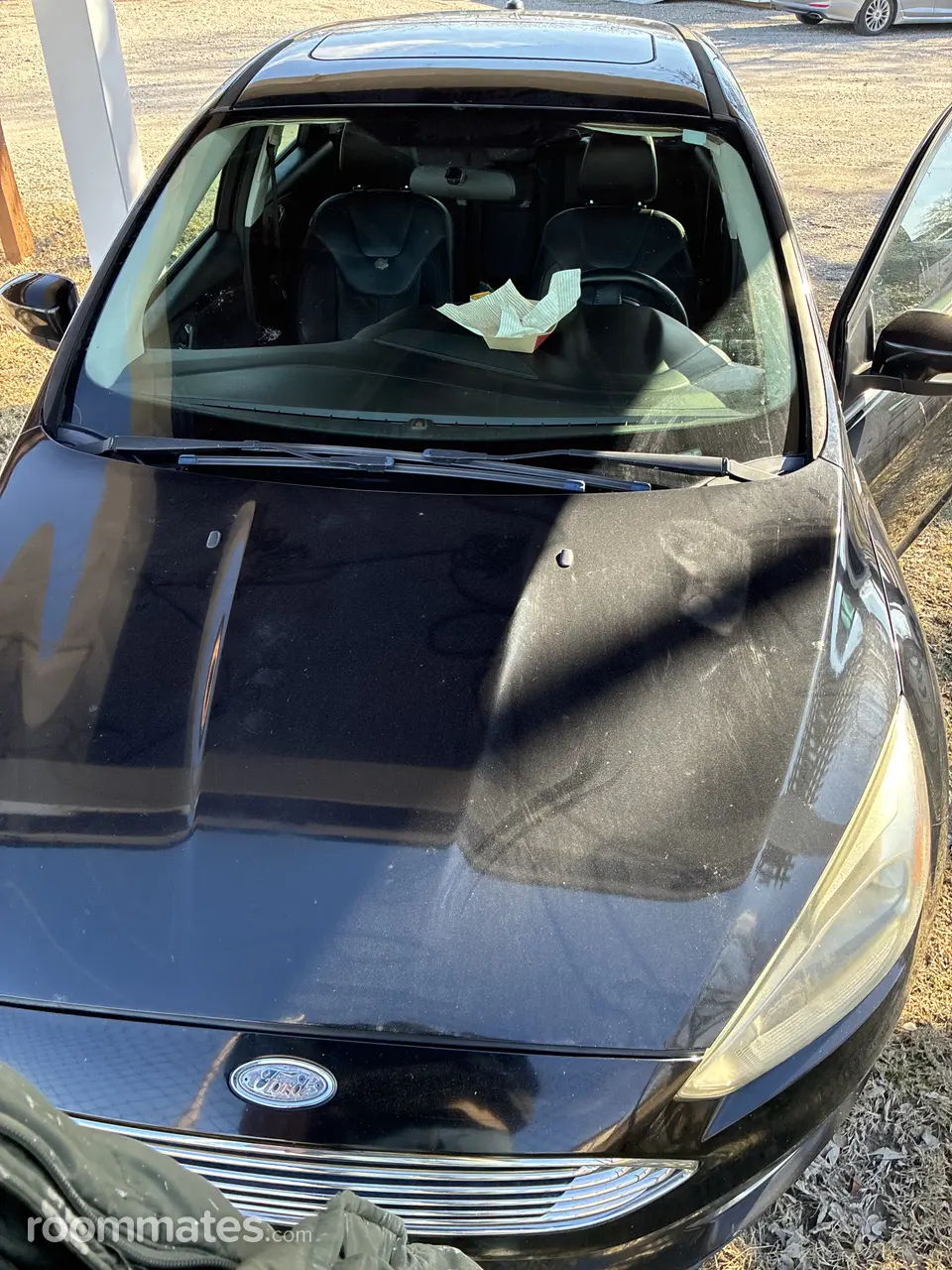 Profile photo 8 of 8