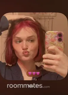 Roommate looking San Antonio, TX, $700