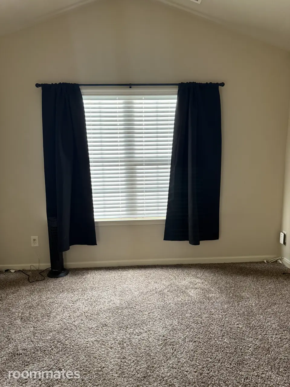 Profile photo 2 of 8