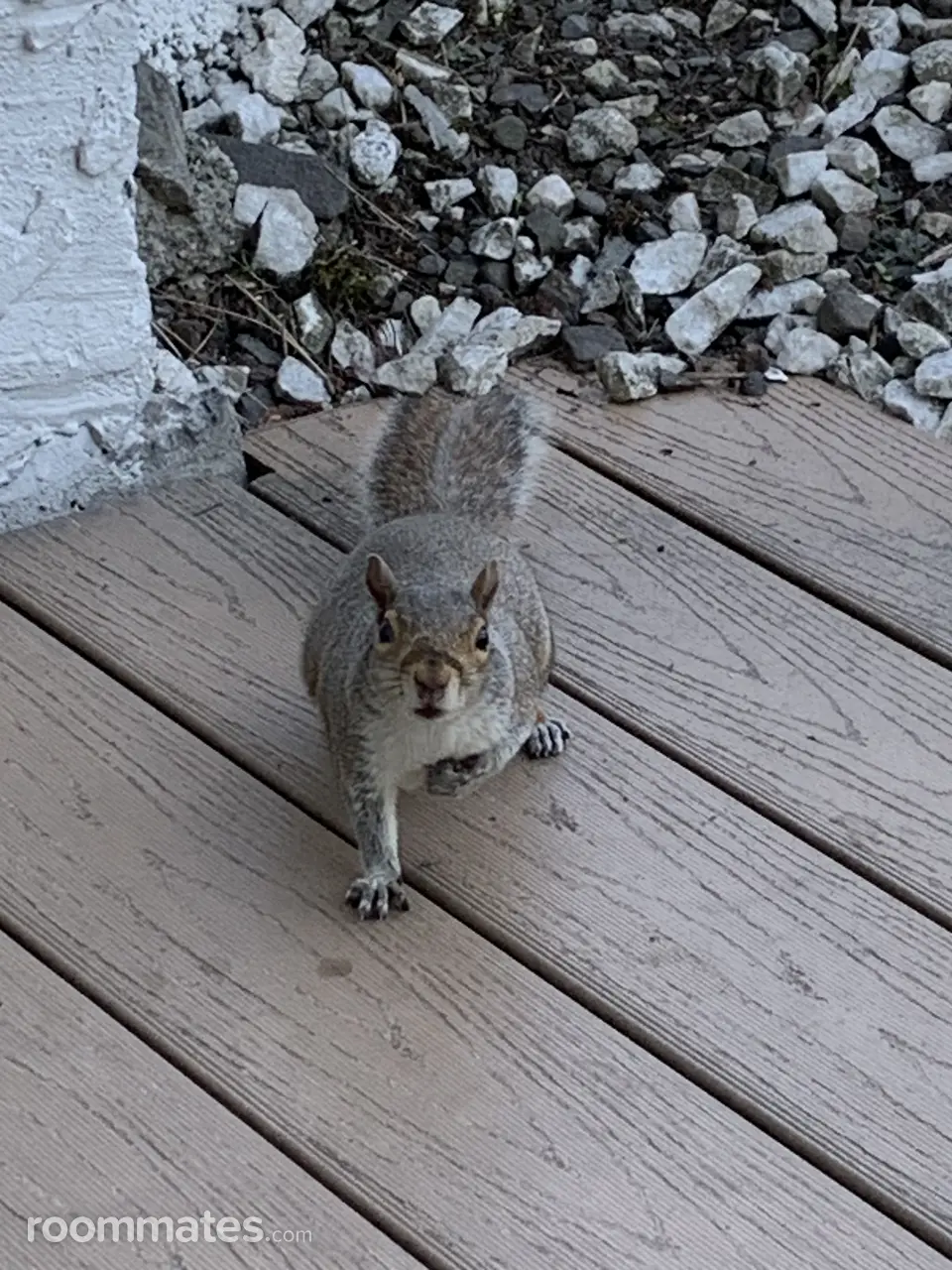 Profile photo 8 of 11