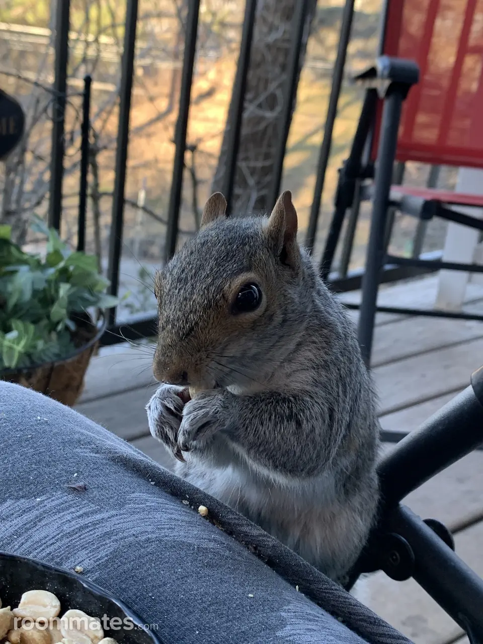 Profile photo 5 of 11