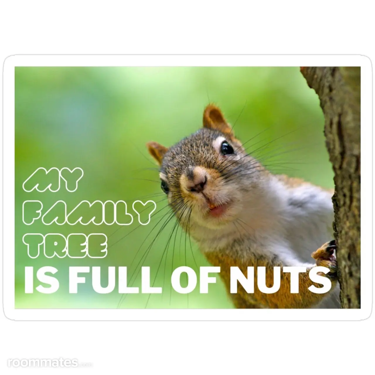 Profile photo 10 of 11