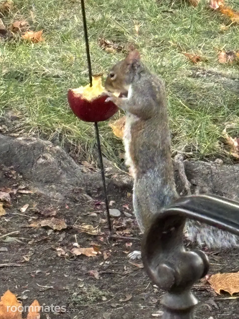 Profile photo 11 of 11