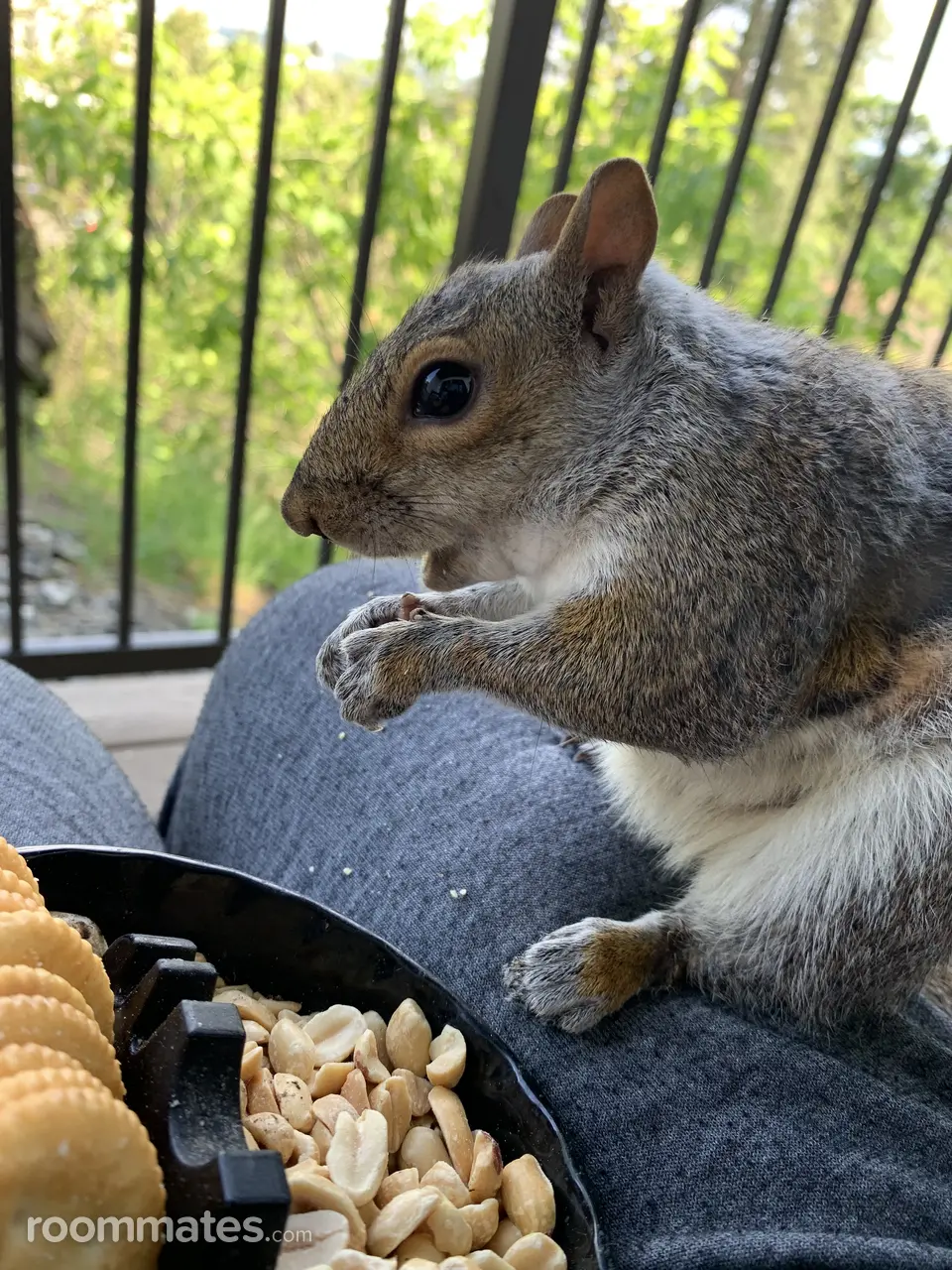 Profile photo 3 of 11