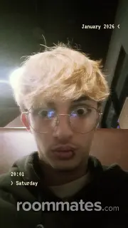 Roommate looking San Antonio, TX, $800