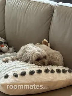 Room for rent in Delray Beach FL $2000, apartment