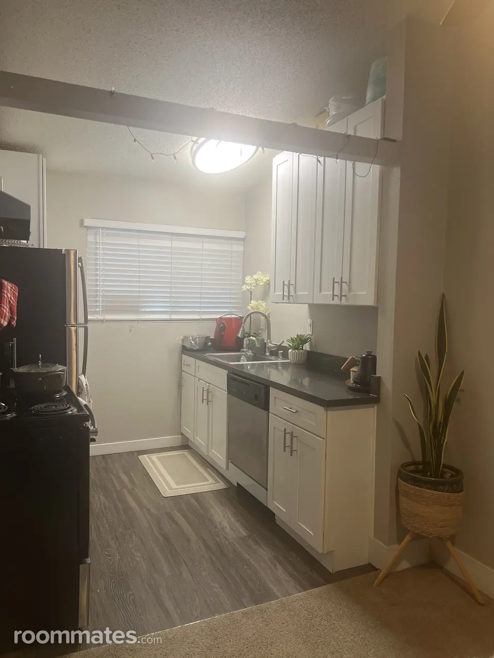 Profile photo 6 of 12