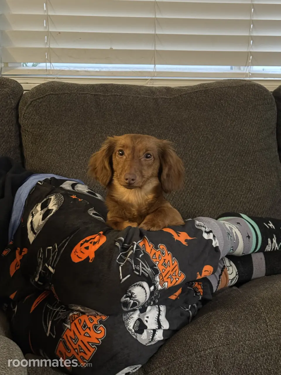 Profile photo 2 of 11