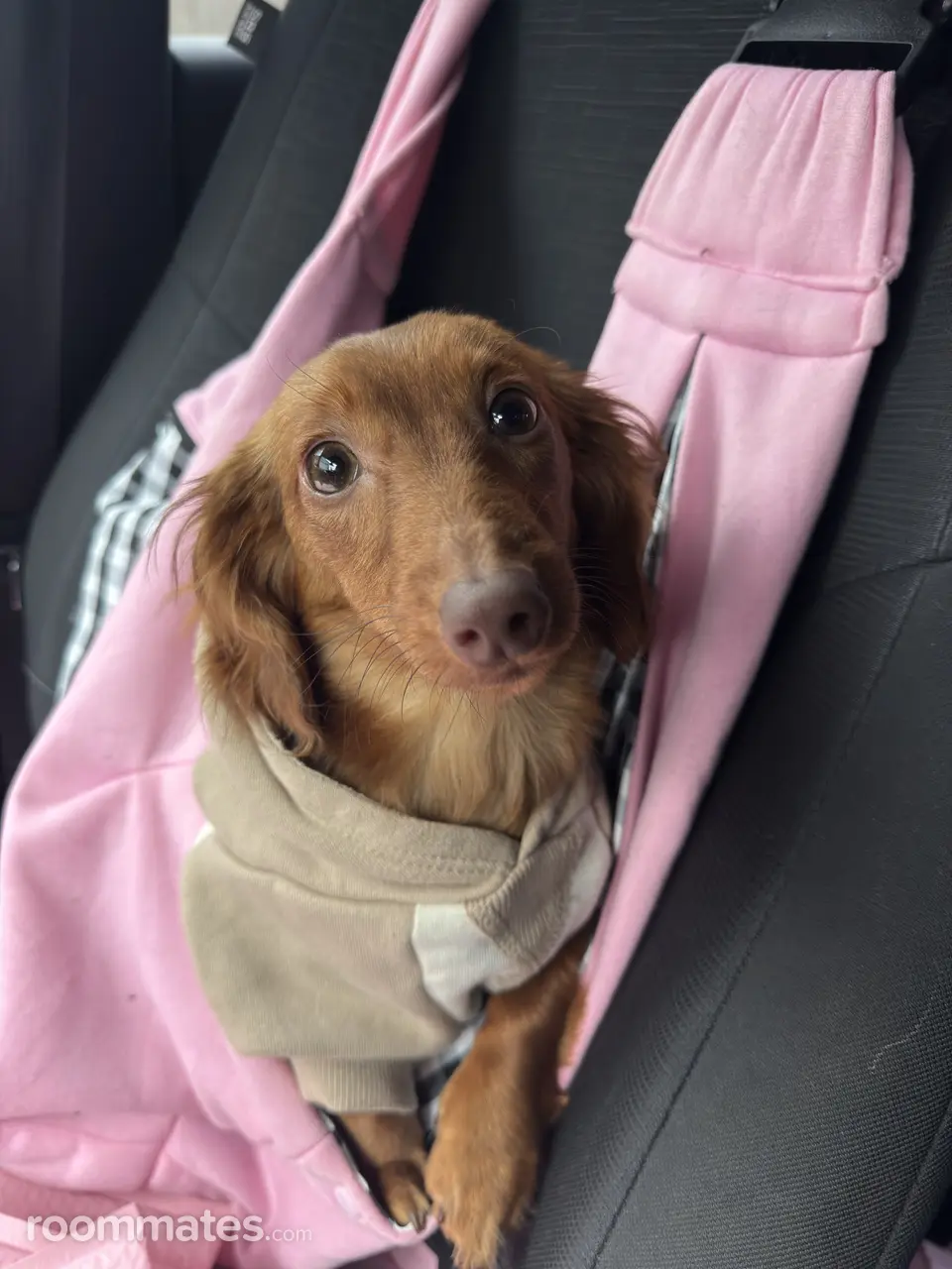 Profile photo 3 of 11