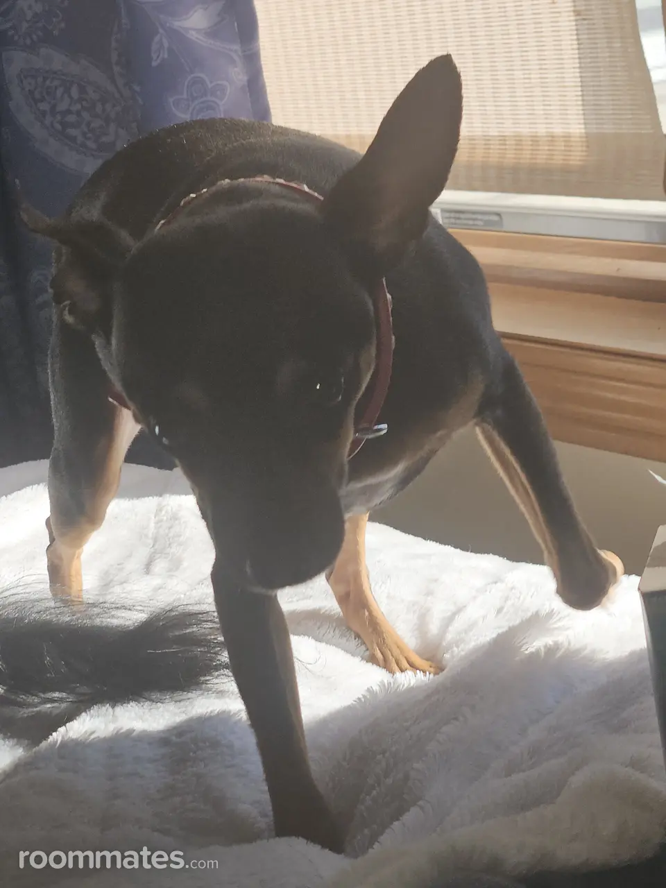 Profile photo 3 of 3