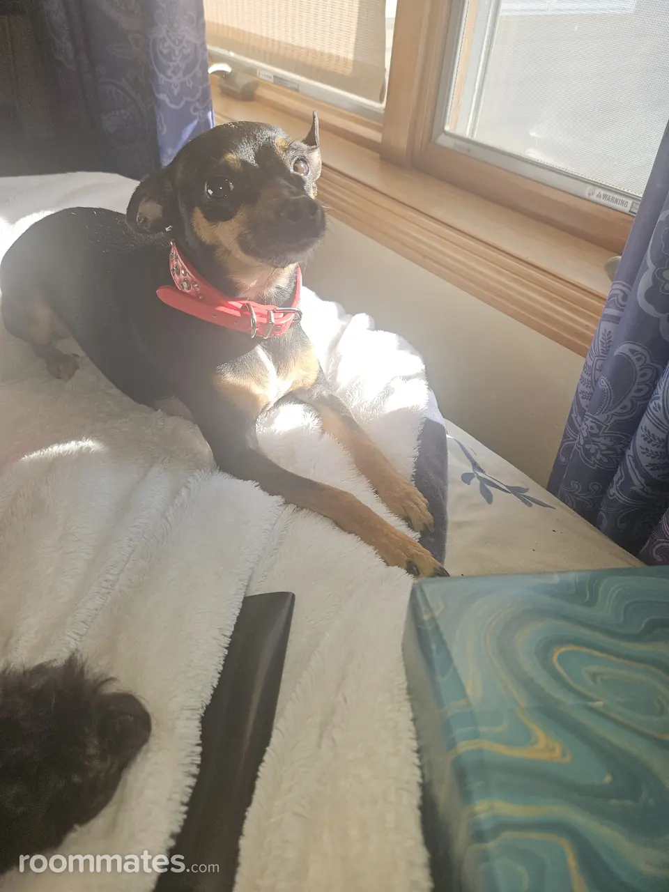 Profile photo 2 of 3